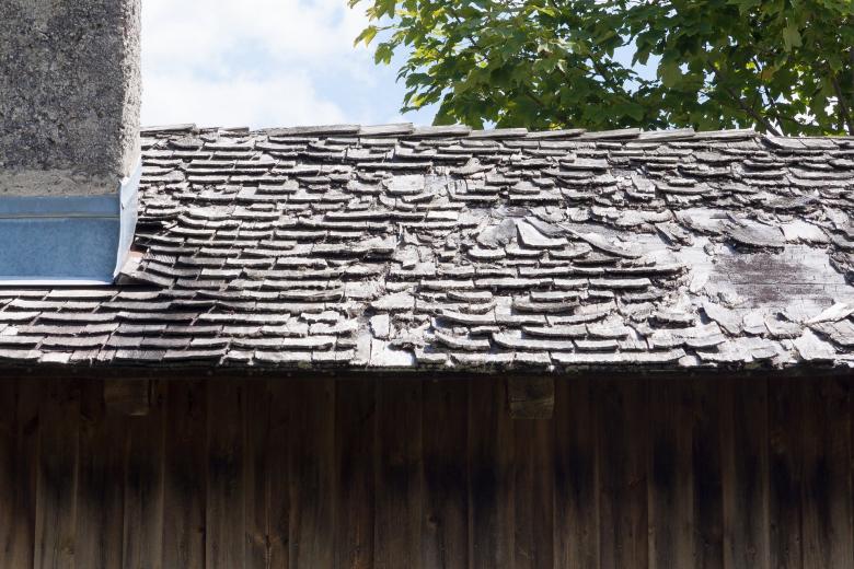 Damaged Cedar Shake roof