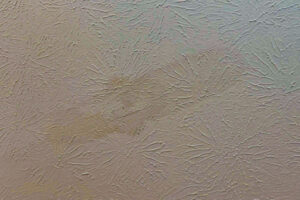 A dark spot on your ceiling is a clear indicator that your home has a roof leak.