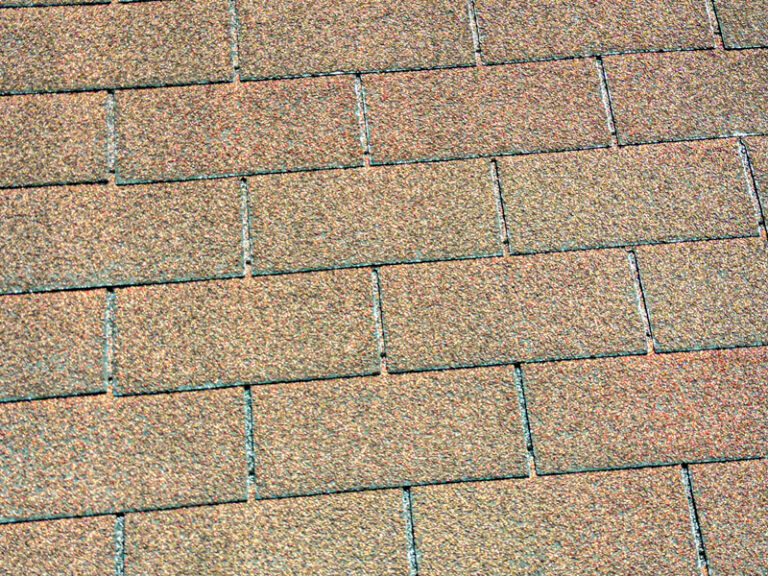 How Do I Remove Mold From My Roof? Van Martin Roofing