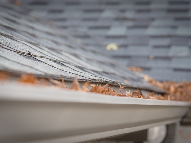 Gutter cleaning in Mason, Ohio