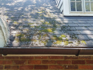 How Do I Remove Moss from My Roof?