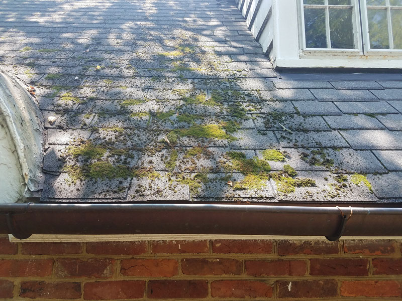 How Do I Remove Moss from My Roof?